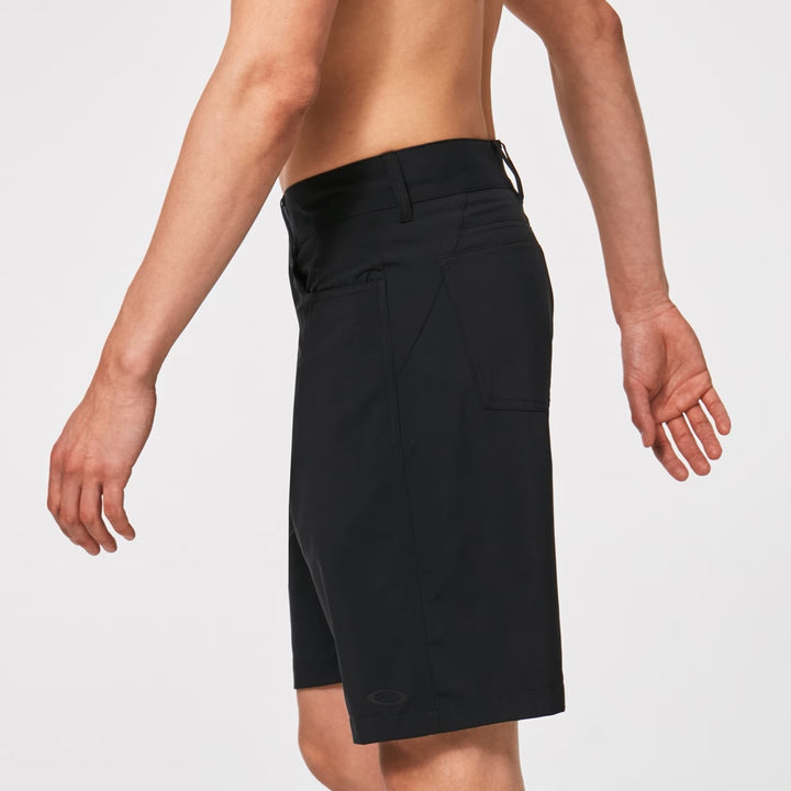 Baseline Hybrid 21 Blackout
