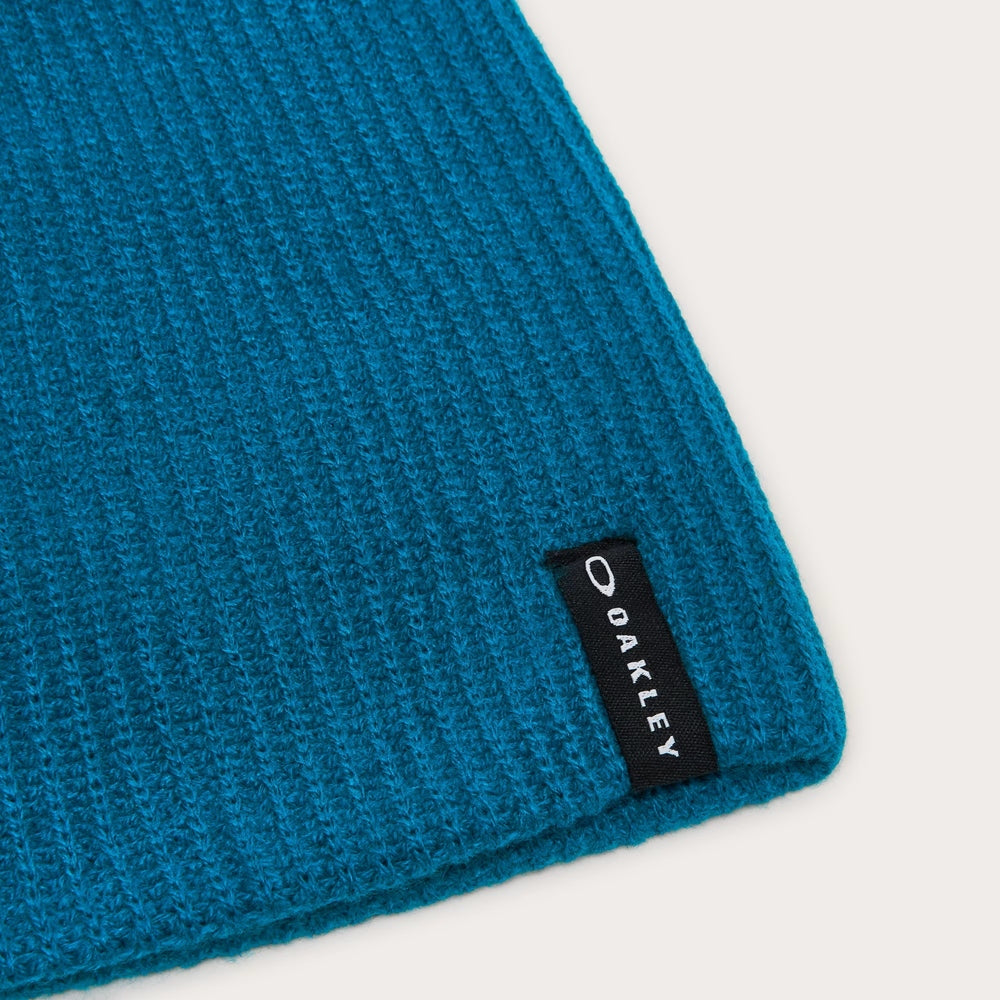 Back Bone Beanie 2.0 New Balsam