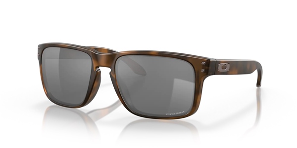 Holbrook Matte Brown - Prizm Black